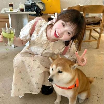 在我冒险的日子